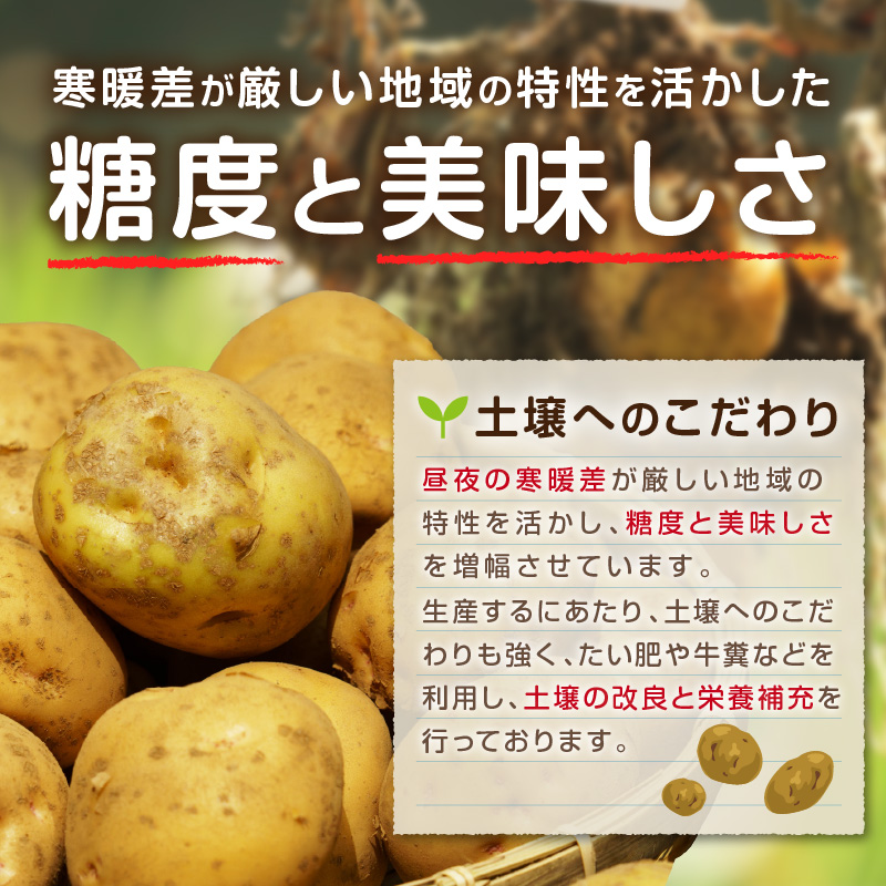 【予約：2026年10月から順次発送】北見市産 たまねぎとじゃがいもセット 約7kg ( 野菜 たまねぎ 玉ねぎ タマネギ 玉葱 ジャガイモ じゃがいも 北海道 セット ふるさと納税 )【002-0007-2026】