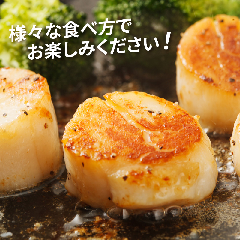 ãªããŒãã¯ã»ããŠã¹ããŒã 4åå
¥2è¢ ( ãã¿ã åžç« ã¹ããŒã å·å )ã005-0037ã