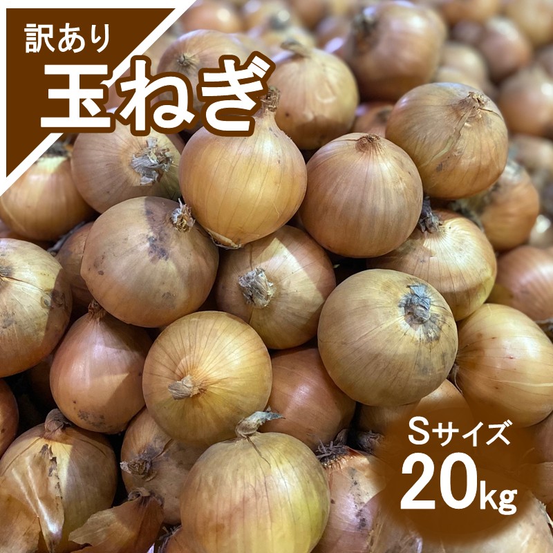 【訳アリ】玉ねぎ 20kg Sサイズ ( 北海道産 野菜 たまねぎ わけあり )【009-0005】