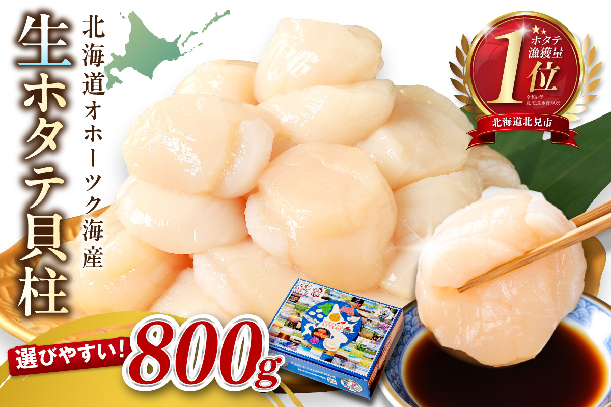 【2026年6月発送】北海道オホーツク海産 ホタテ貝柱 800g 生食用 ( 海鮮 魚介 魚介類 貝 貝類 帆立 ほたて お刺身 刺身 貝柱 海鮮丼 帆立貝柱 ホタテ )【037-0016】