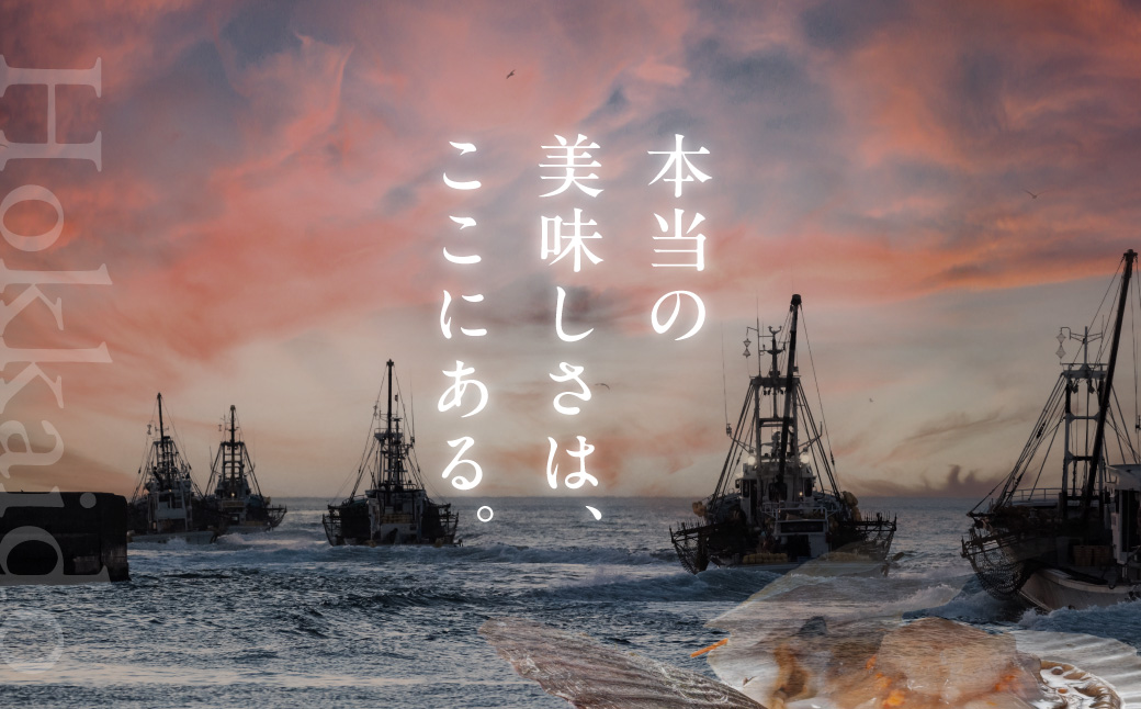 北海道産 乾貝柱 300g ( 海鮮 魚介 魚介類 貝 ホタテ ほたて 帆立 乾ほたて 貝柱 贈答 ギフト プレゼント 贈り物 箱入り 化粧箱 小分け おつまみ おやつ ふるさと納税 ホタテ貝柱 )【037-0018】