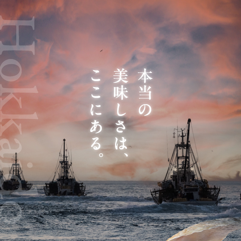 北海道産 乾貝柱 300g ( 海鮮 魚介 魚介類 貝 ホタテ ほたて 帆立 乾ほたて 貝柱 贈答 ギフト プレゼント 贈り物 箱入り 化粧箱 小分け おつまみ おやつ ふるさと納税 ホタテ貝柱 )【037-0018】