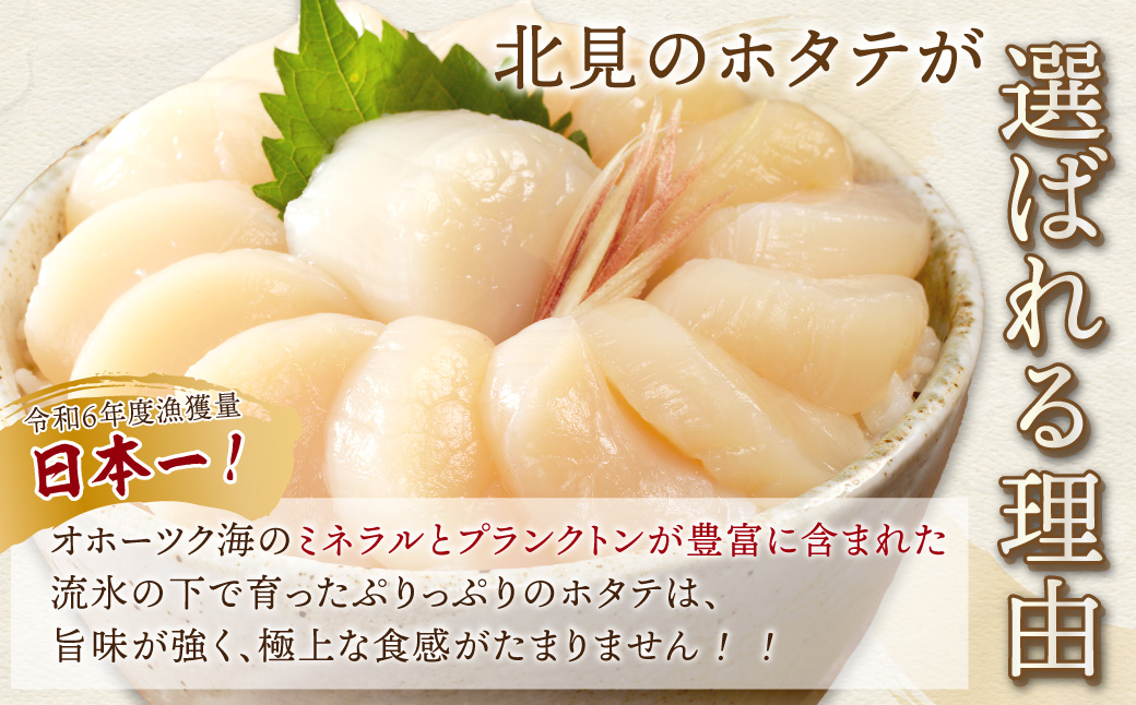 【予約：2026年6月から順次発送】北海道オホーツク海産 ホタテ貝柱 1.2kg 生食用 ( 海鮮 魚介 魚介類 貝 ほたて 刺身 貝柱 海鮮丼 贈答 ギフト 小分け 帆立貝柱 人気 ふるさと納税 ホタテ )【037-0021】