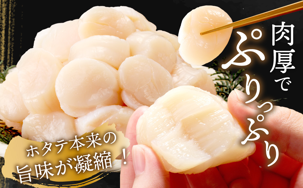 【予約：2026年6月から順次発送】北海道オホーツク海産 ホタテ貝柱 1.2kg 生食用 ( 海鮮 魚介 魚介類 貝 ほたて 刺身 貝柱 海鮮丼 贈答 ギフト 小分け 帆立貝柱 人気 ふるさと納税 ホタテ )【037-0021】