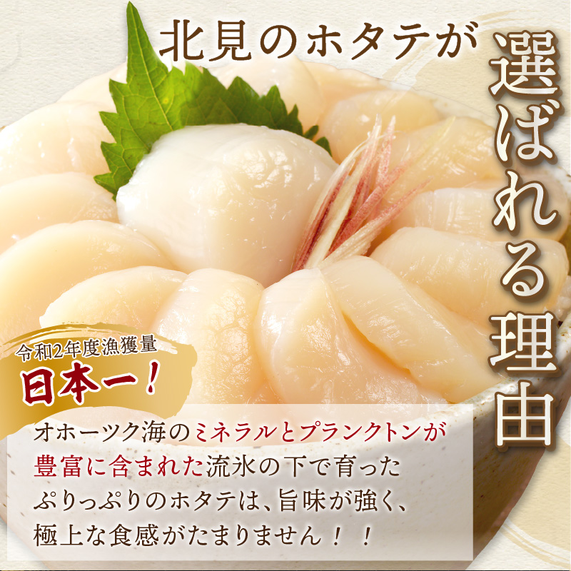 【予約：2026年6月から順次発送】北海道オホーツク海産 ホタテ貝柱 1.2kg 生食用 ( 海鮮 魚介 魚介類 貝 ほたて 刺身 貝柱 海鮮丼 贈答 ギフト 小分け 帆立貝柱 人気 ふるさと納税 ホタテ )【037-0021】