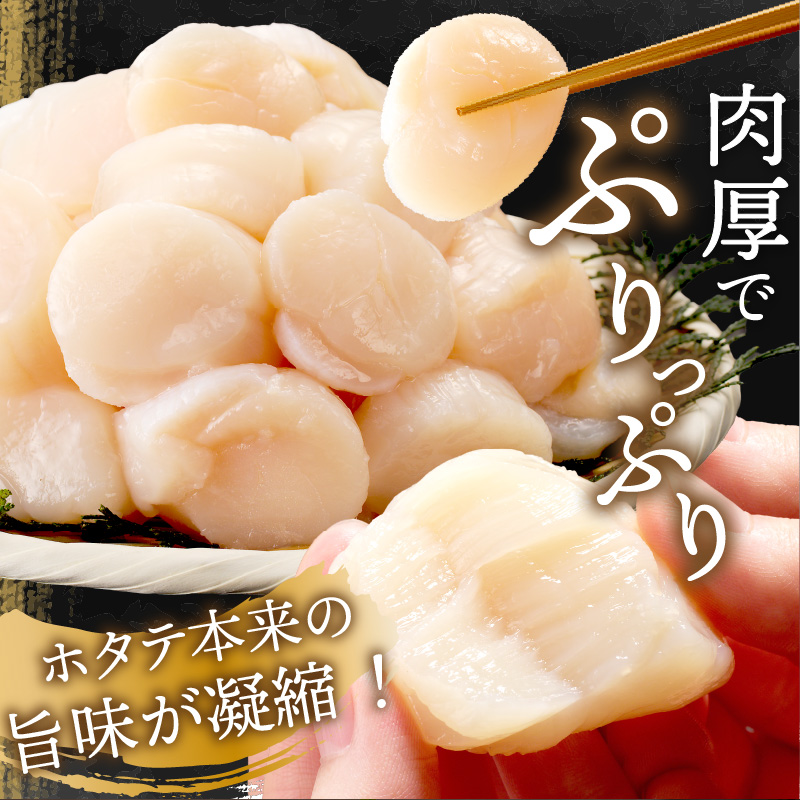 【予約：2026年6月から順次発送】北海道オホーツク海産 ホタテ貝柱 1.2kg 生食用 ( 海鮮 魚介 魚介類 貝 ほたて 刺身 貝柱 海鮮丼 贈答 ギフト 小分け 帆立貝柱 人気 ふるさと納税 ホタテ )【037-0021】