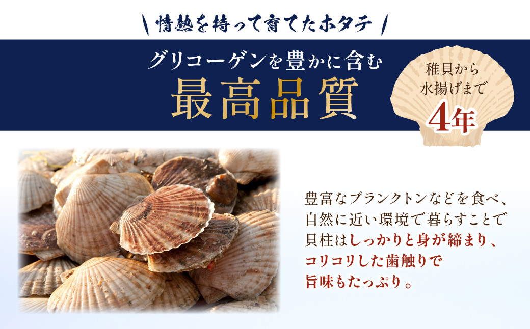 【予約：2026年6月から順次発送】北海道オホーツク海産 ホタテ貝柱 1.2kg 生食用 ( 海鮮 魚介 魚介類 貝 ほたて 刺身 貝柱 海鮮丼 贈答 ギフト 小分け 帆立貝柱 人気 ふるさと納税 ホタテ )【037-0021】