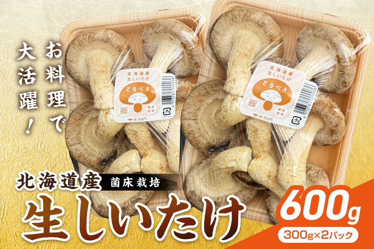 北海道産 生しいたけ(菌床) 2パック ( きのこ キノコ 椎茸 シイタケ )【038-0012】