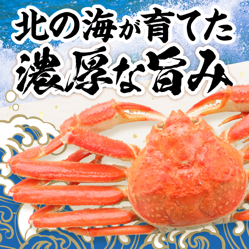 【北見応援返礼品】北見市加工 生冷本ズワイガニセット 800g 昆布入 ( 海鮮 魚介類 魚介 蟹 かに カニ セット 鍋 カニ鍋 カニ爪 ズワイガニ かにしゃぶ カット済 贈答 ギフト 熨斗 のし ふるさと納税 )【094-0080-yell】