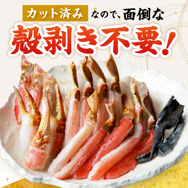 【北見応援返礼品】北見市加工 生冷本ズワイガニセット 800g 昆布入 ( 海鮮 魚介類 魚介 蟹 かに カニ セット 鍋 カニ鍋 カニ爪 ズワイガニ かにしゃぶ カット済 贈答 ギフト 熨斗 のし ふるさと納税 )【094-0080-yell】