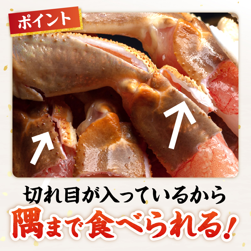 【北見応援返礼品】北見市加工 生冷本ズワイガニセット 800g 昆布入 ( 海鮮 魚介類 魚介 蟹 かに カニ セット 鍋 カニ鍋 カニ爪 ズワイガニ かにしゃぶ カット済 贈答 ギフト 熨斗 のし ふるさと納税 )【094-0080-yell】