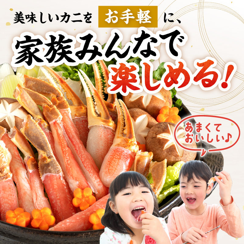 【北見応援返礼品】北見市加工 生冷本ズワイガニセット 800g 昆布入 ( 海鮮 魚介類 魚介 蟹 かに カニ セット 鍋 カニ鍋 カニ爪 ズワイガニ かにしゃぶ カット済 贈答 ギフト 熨斗 のし ふるさと納税 )【094-0080-yell】