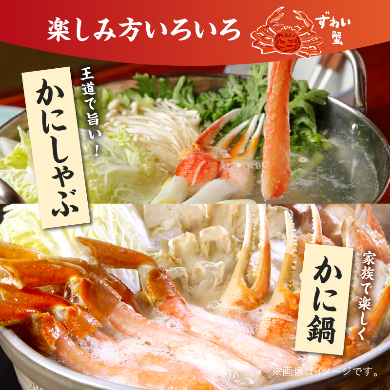 【北見応援返礼品】北見市加工 生冷本ズワイガニセット 800g 昆布入 ( 海鮮 魚介類 魚介 蟹 かに カニ セット 鍋 カニ鍋 カニ爪 ズワイガニ かにしゃぶ カット済 贈答 ギフト 熨斗 のし ふるさと納税 )【094-0080-yell】