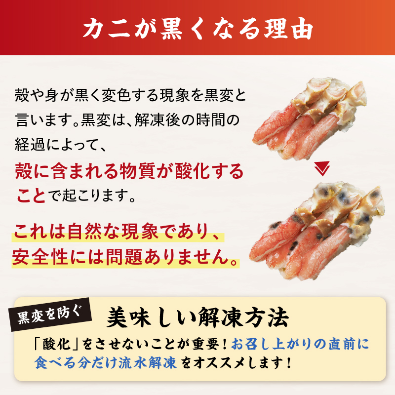 【北見応援返礼品】北見市加工 生冷本ズワイガニセット 800g 昆布入 ( 海鮮 魚介類 魚介 蟹 かに カニ セット 鍋 カニ鍋 カニ爪 ズワイガニ かにしゃぶ カット済 贈答 ギフト 熨斗 のし ふるさと納税 )【094-0080-yell】