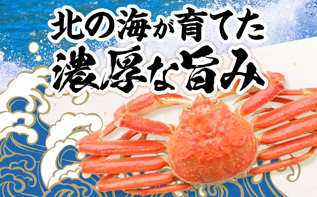 ãåèŠå¿æŽè¿ç€ŒåãåèŠåžå å·¥ çå·æ¬ãºã¯ã€ã¬ãã»ãã 800g æåžå
¥ ( æµ·é®® éä»é¡ éä» è¹ ãã« ã«ã ã»ãã é ã«ãé ã«ãçª ãºã¯ã€ã¬ã ãã«ããã¶ ã«ããæž èŽç ã®ãã çšæ ã®ã ãµãããšçŽçš )ã094-0080-yellã