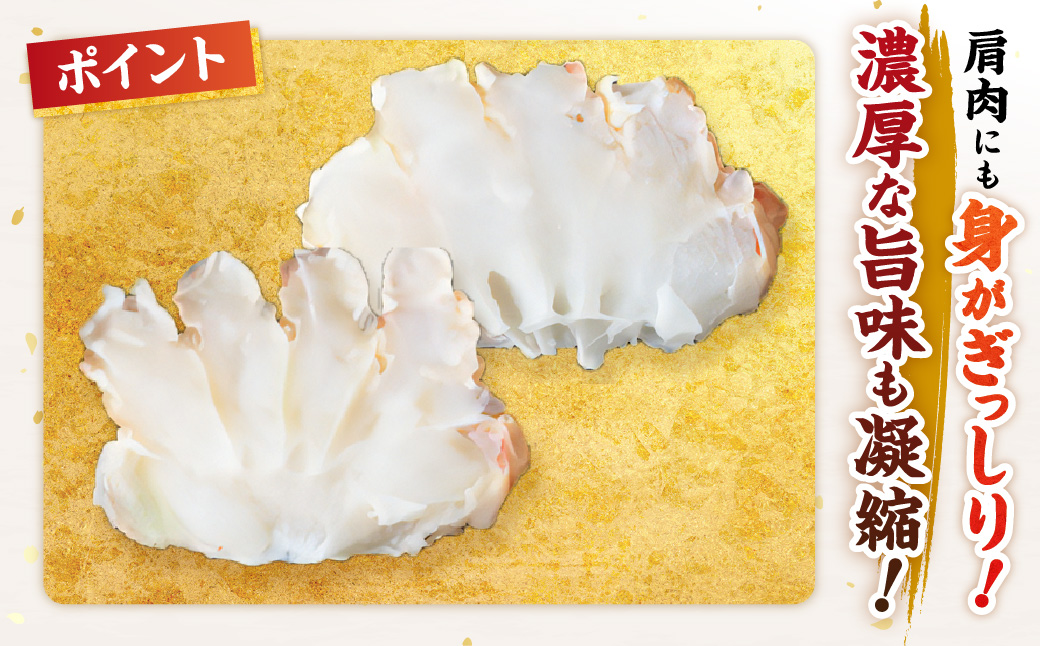 ãåèŠå¿æŽè¿ç€ŒåãåèŠåžå å·¥ çå·æ¬ãºã¯ã€ã¬ãã»ãã 800g æåžå
¥ ( æµ·é®® éä»é¡ éä» è¹ ãã« ã«ã ã»ãã é ã«ãé ã«ãçª ãºã¯ã€ã¬ã ãã«ããã¶ ã«ããæž èŽç ã®ãã çšæ ã®ã ãµãããšçŽçš )ã094-0080-yellã