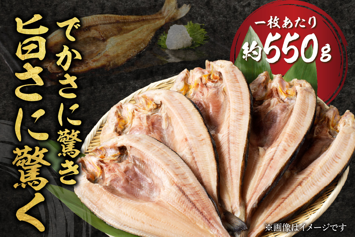 北海道産 なまらでかい！開きホッケ2枚セット ( ほっけ 海鮮 魚 冷凍 ふるさと納税 真空パック プレゼント お中元 お歳暮 贈答 贈り物 )【094-0103】