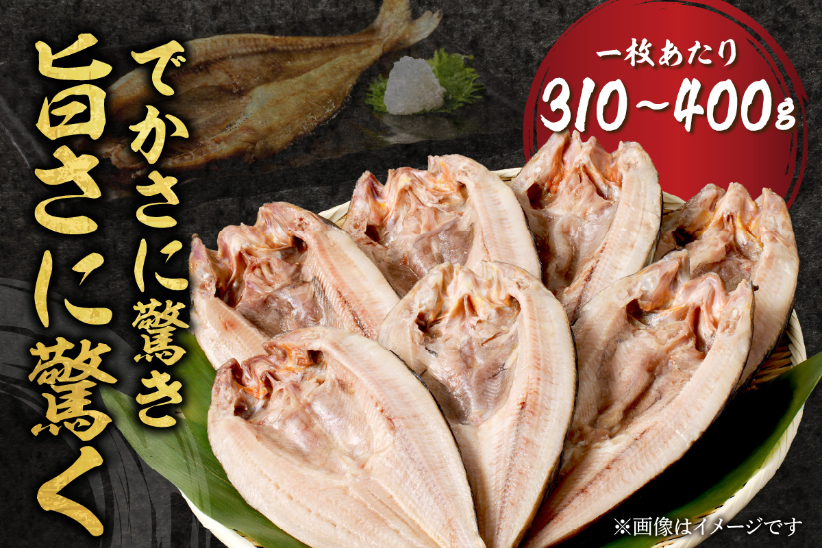 北海道産開きほっけ 3枚入り ( 海鮮 魚 ほっけ 開き 北海道 急速冷凍 美味しい グリル 焼くだけ ジューシー 贈答 ギフト 贈り物 お中元 御中元 お祝い ふるさと納税 ホッケ 人気 )【094-0104】