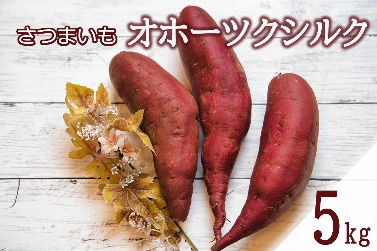 【予約：2025年11月中旬から順次発送】北海道北見市常呂町産 サツマイモ オホーツクシルク 5kg ( さつまいも さつま芋 焼き芋 大学芋 )【111-0001】