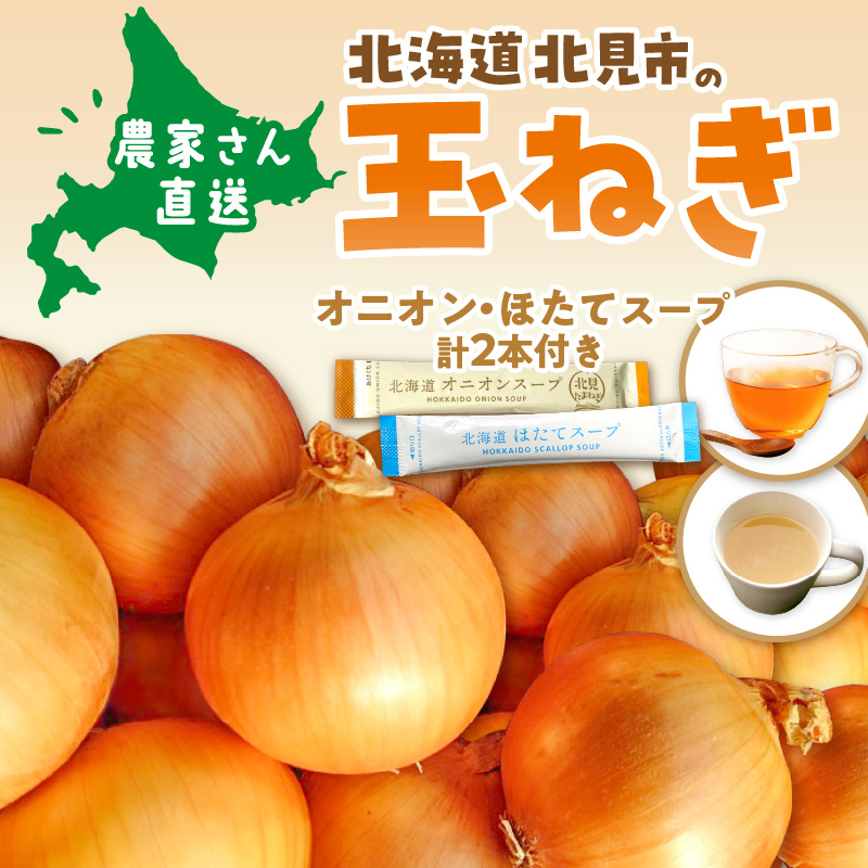 【予約：2026年10月から順次発送】日本一の生産地！北海道北見市の玉ねぎ 2kg！スープ2本付き♪ ( 玉ねぎ 玉葱 たまねぎ タマネギ オニオン スープ 即席 料理 )【164-0009】