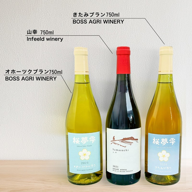 《7営業日以内に発送》北見産ワイン 飲み比べ3本セット（山幸×きたみブラン×オホーツクブラン） ( ワイン 赤ワイン 白ワイン 熟成白ワイン セット 飲み比べ 山幸 きたみブラン オホーツクブラン ギフト 贈り物 )【186-0014】