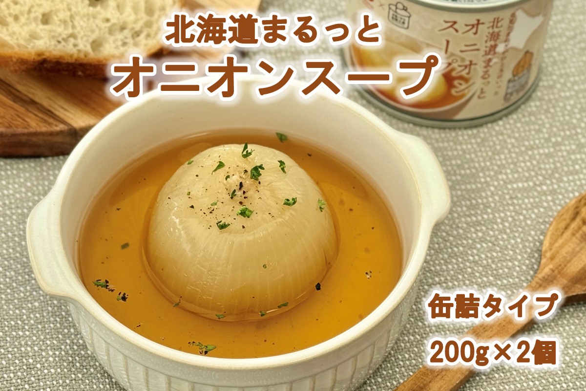 北海道まるっとオニオンスープ 缶詰タイプ 2個 ( 玉ねぎ たまねぎ 加工品 スープ 簡単 )【188-0010】