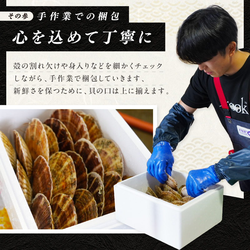 【予約：2026年10月下旬から順次発送】北海道漁師直送 最高鮮度3D冷凍ホタテ「しばれホタテ」 化粧箱入り 250g×2箱 ( 海鮮 魚介 魚介類 貝 ほたて 刺身 貝柱 海鮮丼 贈答 ギフト )【197-0004-2026】