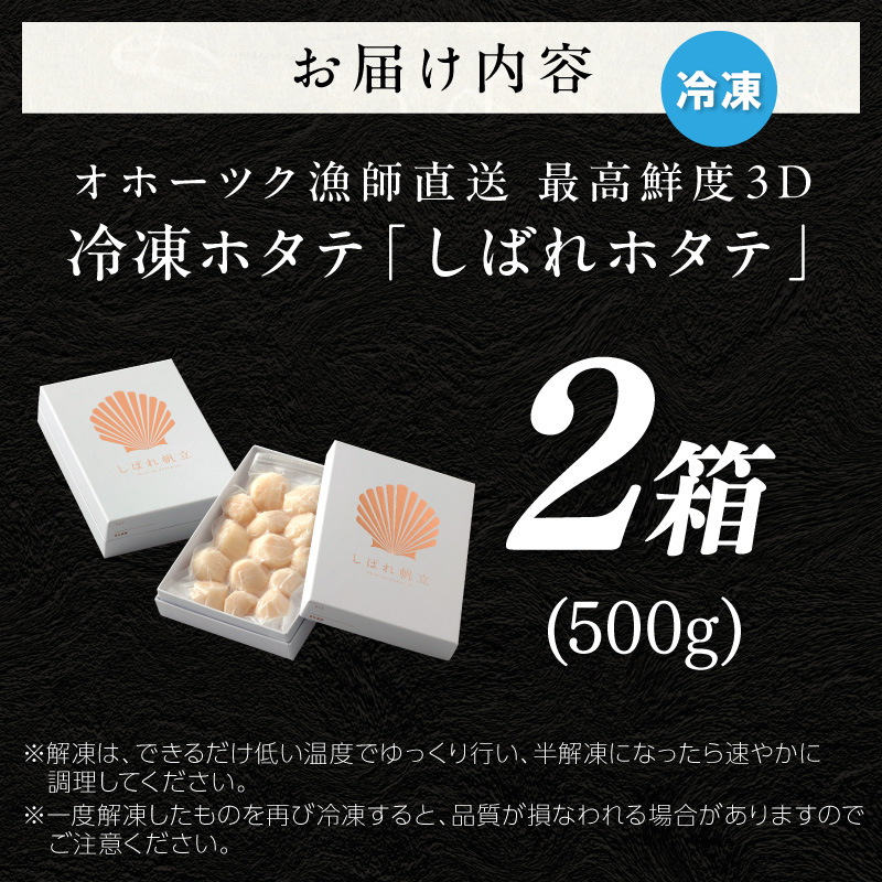 【予約：2026年10月下旬から順次発送】北海道漁師直送 最高鮮度3D冷凍ホタテ「しばれホタテ」 化粧箱入り 250g×2箱 ( 海鮮 魚介 魚介類 貝 ほたて 刺身 貝柱 海鮮丼 贈答 ギフト )【197-0004-2026】