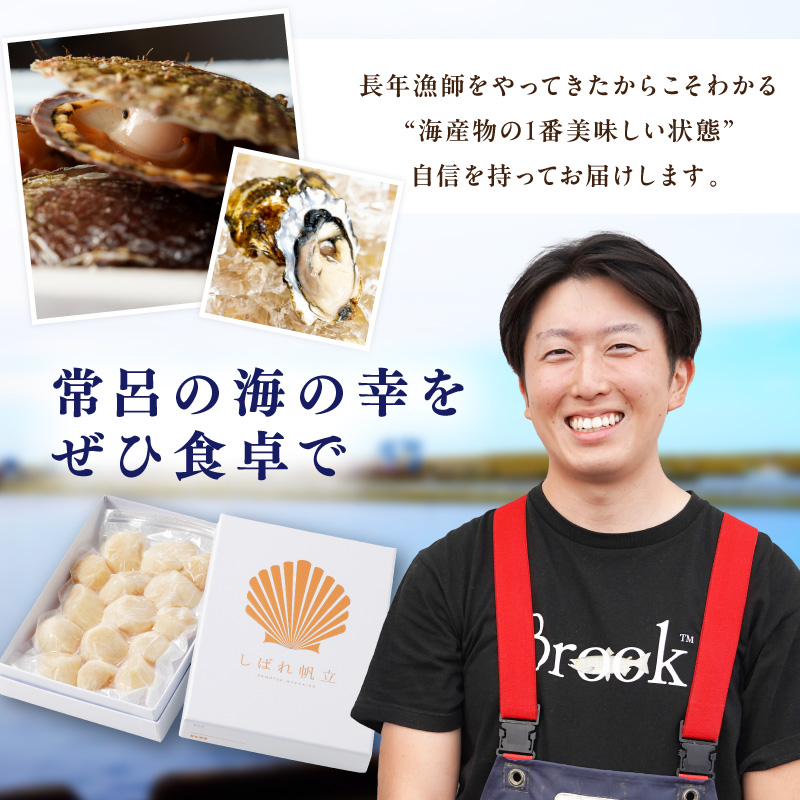 【予約：2026年10月下旬から順次発送】北海道漁師直送 最高鮮度3D冷凍ホタテ「しばれホタテ」 化粧箱入り 250g×2箱 ( 海鮮 魚介 魚介類 貝 ほたて 刺身 貝柱 海鮮丼 贈答 ギフト )【197-0004-2026】