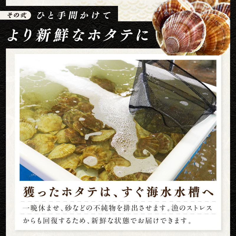 【予約：2026年10月下旬から順次発送】北海道漁師直送 最高鮮度3D冷凍ホタテ「しばれホタテ」 化粧箱入り 250g×3箱 ( 海鮮 魚介 魚介類 貝 ほたて 刺身 貝柱 海鮮丼 贈答 ギフト )【197-0005-2026】