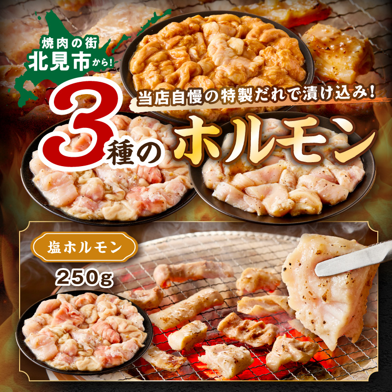 《7営業日以内に発送》北見 ホルモン 3点セット ( 焼肉 ホルモン 肉 にく 味付き肉 )【205-0001】