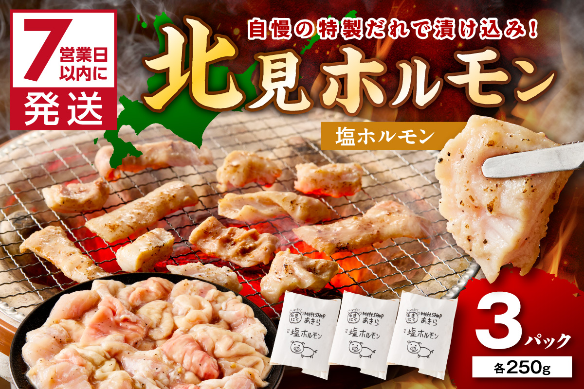 《7営業日以内に発送》北見塩ホルモン 250g×3パック ( 焼肉 ホルモン 肉 にく 塩 )【205-0002】
