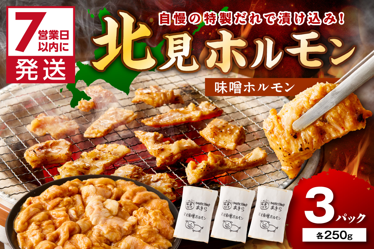 《7営業日以内に発送》北見味噌ホルモン 250g×3パック ( 焼肉 ホルモン 肉 にく みそ 味噌 )【205-0003】