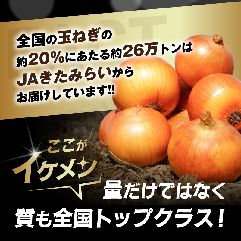 ãäºçŽïŒ2026幎9æäžæ¬ããé æ¬¡çºéãJAããã¿ããç£ çãã Lãµã€ãº 10kg ( ã¿ããã® ããŸãã éè )ã210-0003-2026ã