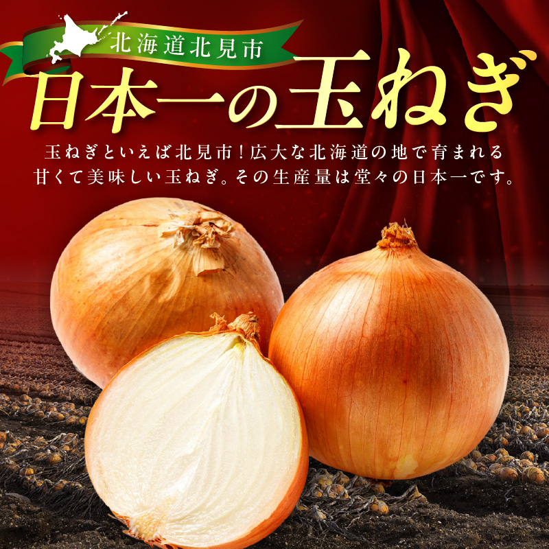 北見市産玉ねぎ使用 味付け豚肉 醤油タレ 300g×5個 ( 肉 豚肉 たまねぎ タマネギ 焼肉 )【224-0049】