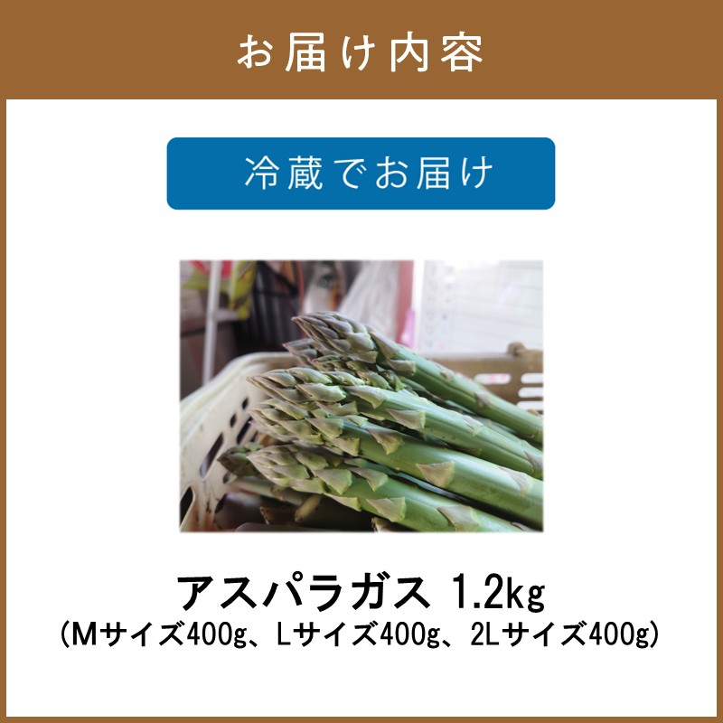 【予約：2026年4月中旬から順次発送】ハウス栽培 グリーンアスパラ 1.2kg ( アスパラガス 野菜 新鮮 朝採れ )【231-0001】