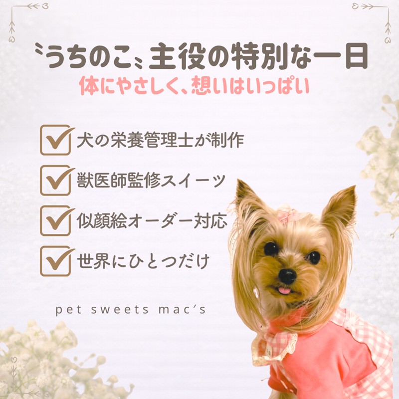 犬の栄養管理士がつくる うちの子ペットケーキ 3号 ( 似顔絵 デコレーション 犬用 ケーキ 犬用ケーキ 3号 犬 いぬ )【232-0001】