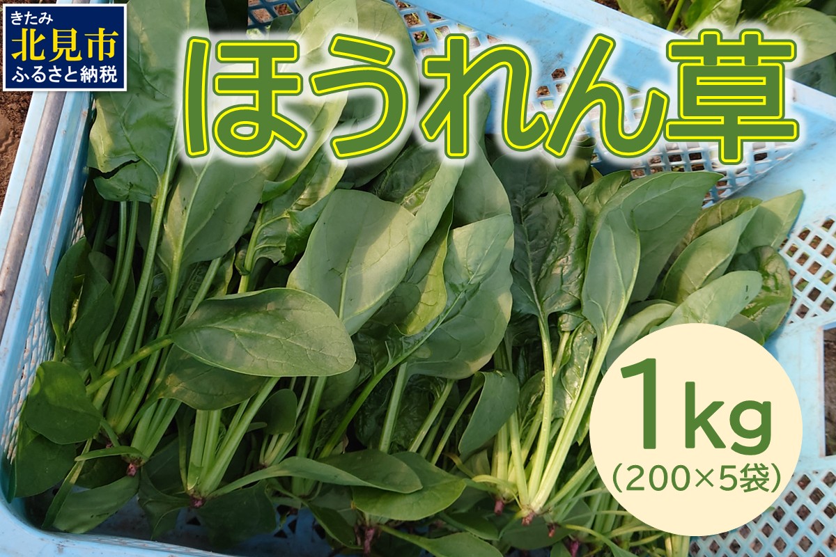 【予約：2025年6月中旬から順次発送】北海道北見産 朝採れ ほうれん草 1kg 200g×5袋 ( 新鮮 採れたて ホウレンソウ ほうれんそう ハウス栽培 )【164-0008】