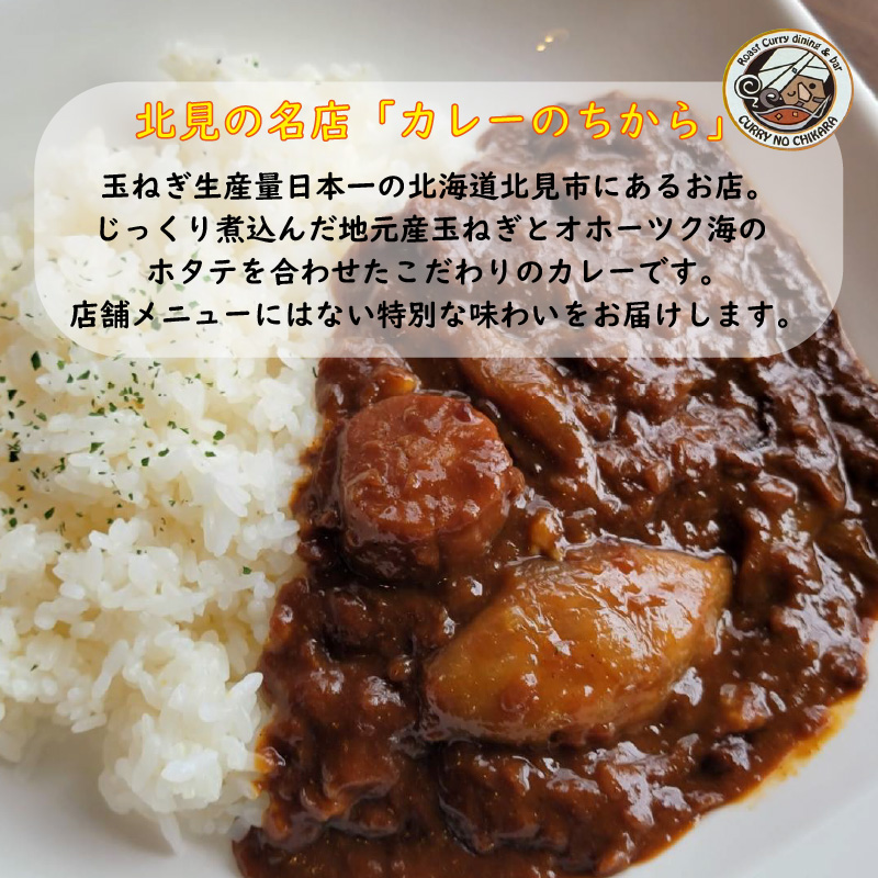 濃厚！ほたてと玉ねぎのカレー10食分 ( 加工品 レトルト カレー 海鮮 ホタテ バター 辛さもマイルド 人気 カレー専門店 )【141-0013】