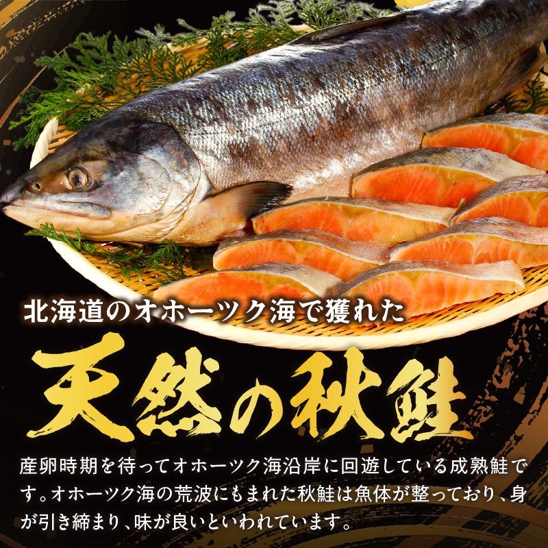 《14営業日以内に発送》北海道オホーツク海産 天然秋鮭切身 無塩1kg ( 海鮮 魚介類 鮭 秋鮭 サケ さけ 切身 生鮭 小分け 袋詰め 北海道 オホーツク 贈答 ギフト プレゼント 贈り物 )【035-0015】