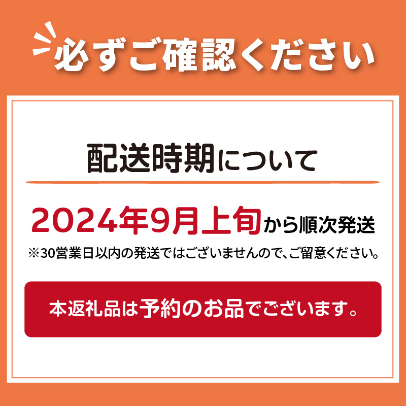 【予約：2024年9月上旬から順次発送】【期間限定】 オホーツクビール バラエティ 6本セット まるごと北海道 ( 地ビール 限定 飲料 お酒 ビール 瓶ビール 北海道 )【028-0018-2024】