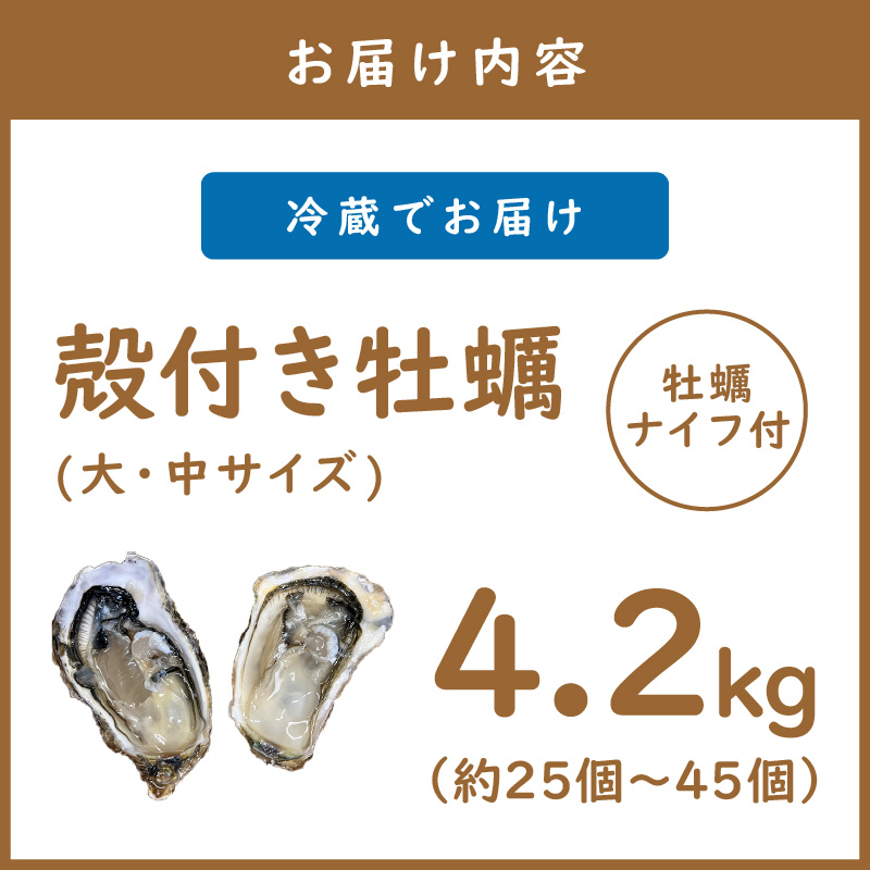 サロマ湖産 殻付き2年牡蠣 4.2kg サイズ不揃い ※牡蠣ナイフ付 ( カキ かき 4.2キロ 魚介 海鮮 貝 ふるさと納税 BBQ バーベキュー )【113-0014-2024】