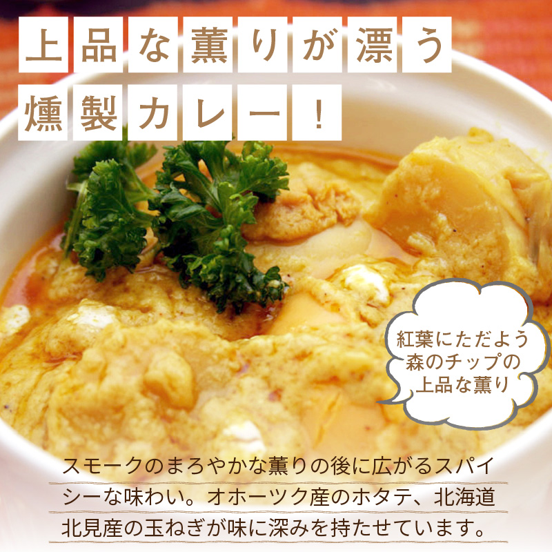 クリシュナ 春夏秋冬オホーツクカリー4食セット 手焼きナン付 ( 食品 加工品 惣菜 カレー ナン セット 五つ星ホテル オホーツク海 オホーツクカレー )【127-0007】