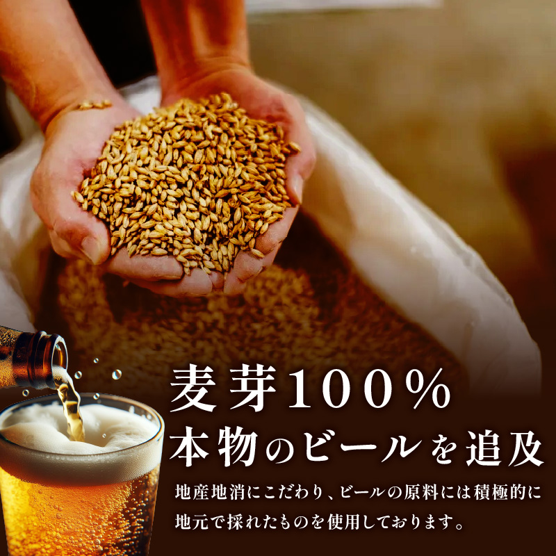 【3ヶ月定期便】オホーツクビール 12本 ( 定期便 ビール 地ビール セット 詰め合わせ 小麦 麦芽100% アルコール )【999-0081】