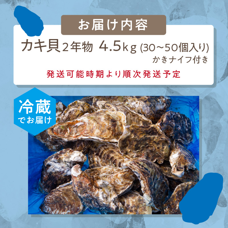 【予約：2024年10月下旬から順次発送】サロマ湖自慢の殻付きカキ貝 2年物 4.5kg詰め ( 牡蠣 かき 濃厚 魚介類 貝類 カキ ふるさと納税 牡蠣 北見市 BBQ )【114-0013-2024】