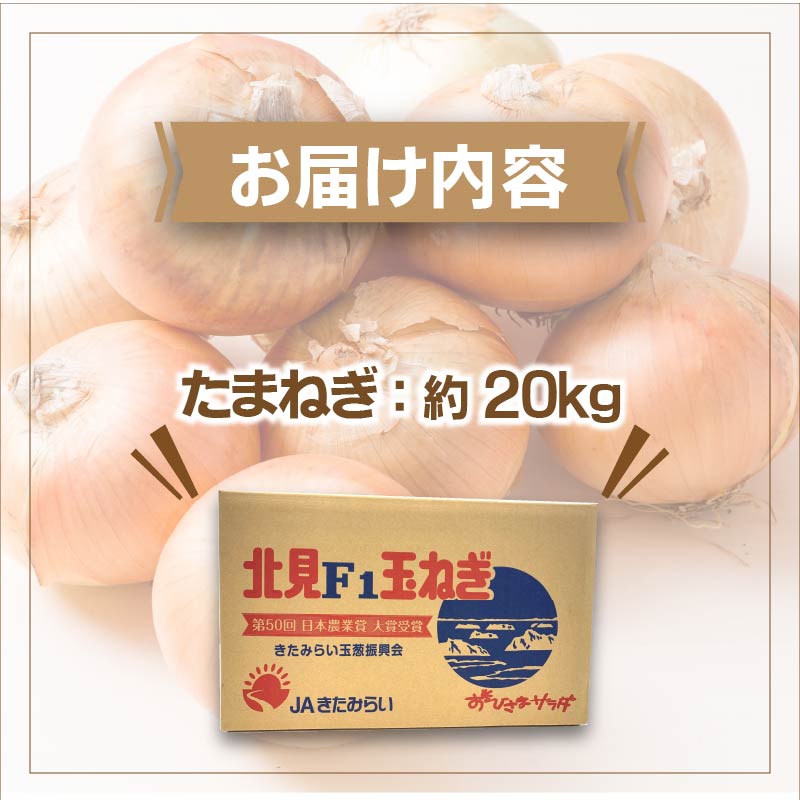 【予約：2024年10月上旬から順次発送】北海道 JAきたみらい「たまねぎ」20kg ( 期間限定 野菜 玉ねぎ 玉葱 )【005-0024-2024】