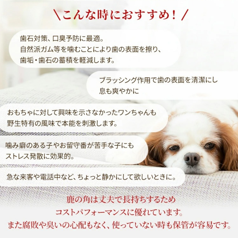 鹿の角 犬のおもちゃ ペット用 Sサイズ ( ペット おもちゃ 鹿 角 )【079-0002】