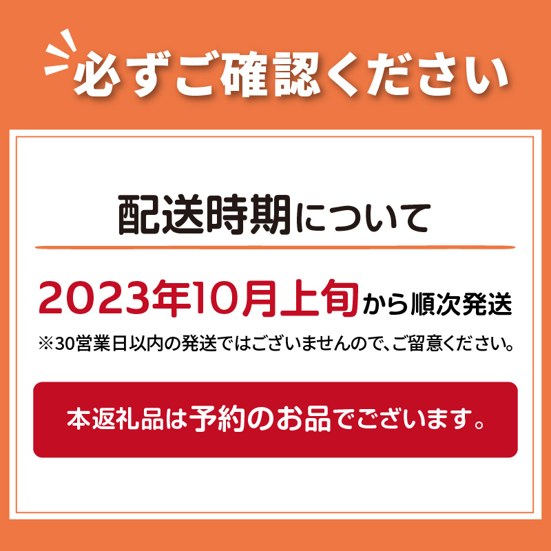 【予約：2023年10月上旬から順次発送】北海道 JAきたみらい「たまねぎ・紅玉ねぎセット」9kg ( 期間限定 野菜 たまねぎ 玉葱 )【005-0021-2023】