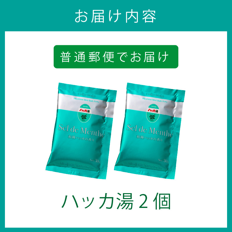 北見ハッカバスソルト ハッカ湯2個 ( 入浴剤 雑貨 日用品 バスソルト ハッカ ミント にごり湯 天然和種ハッカ ペパーミントグリーン お風呂 バスグッズ バス )【007-0001】