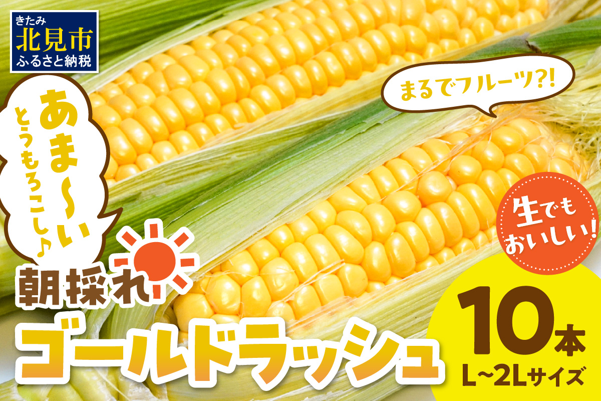 【予約：2024年9月中旬から順次発送】北海道北見市産 朝採れ ゴールドラッシュ 10本 ( 野菜 トウモロコシ とうもろこし コーン ゴールドラッシュ 採れたて 新鮮 )【164-0005】